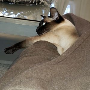 Meet your Posher, April